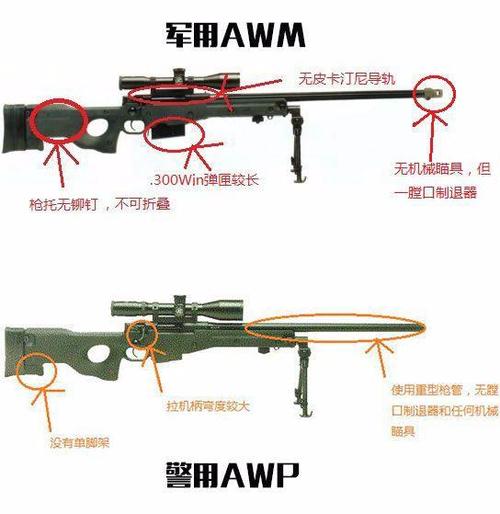 日本csgo大姐姐awp