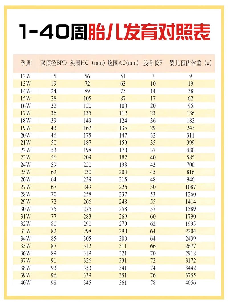 周家日常1v2林楠