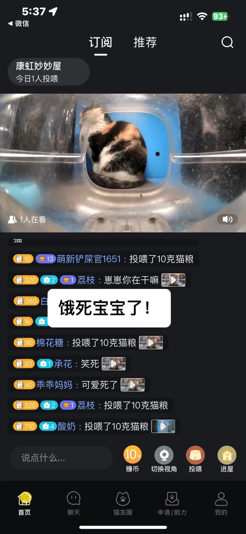 小猫直播App