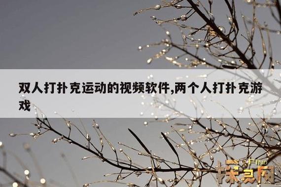 免费做运动视频扑克视频网