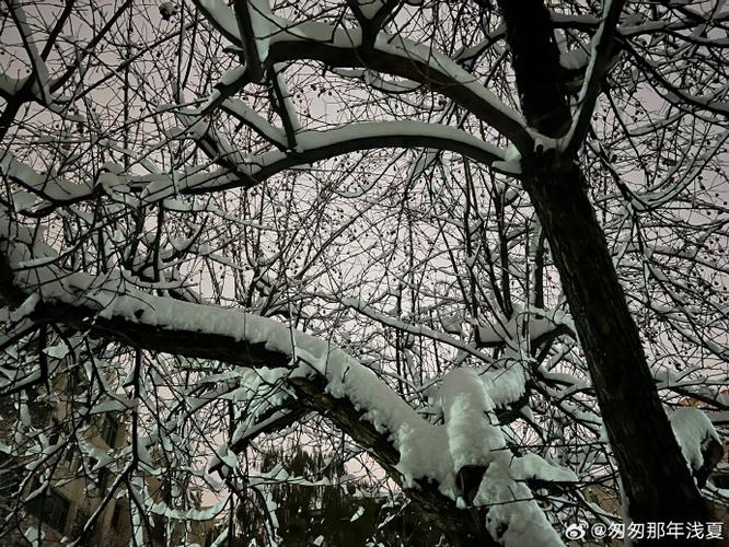 小雪爽⋯好大⋯快⋯深点