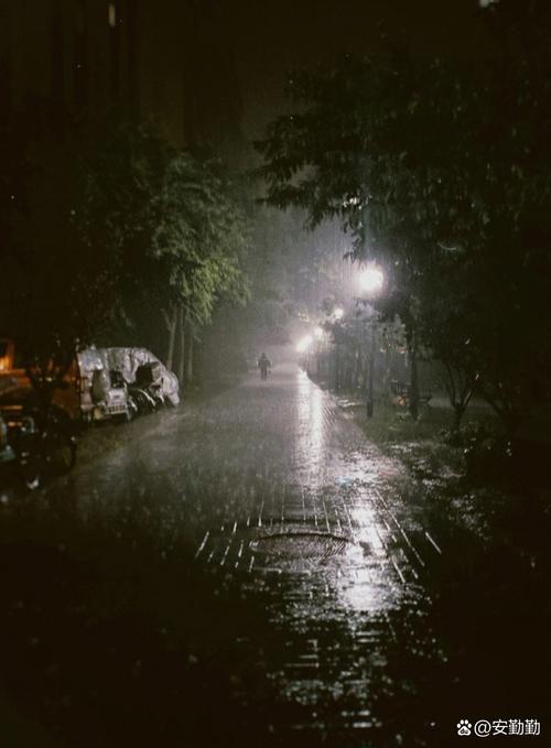 陪读晚上翻雨覆雨的背景故事