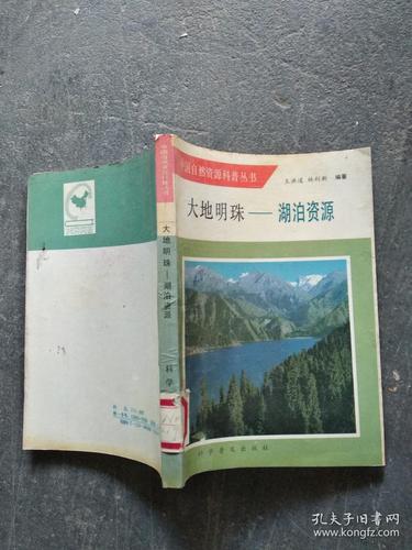 大地资源二中文在线：探索未来地球资源的数字化之路